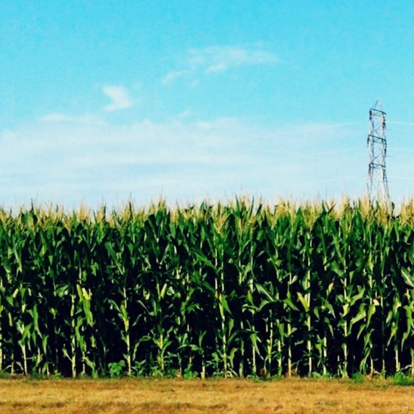 1️⃣ Urban Teacher 2️⃣ High Desert Dweller 3️⃣ Upcycler 4Ever 🙌🏼 - Picture 12 of 13